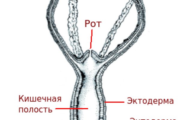 Блэк спрут площадка