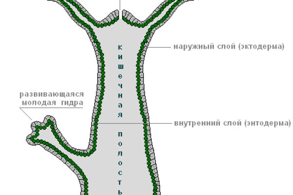 Ссылка блэкспрут bs2tor nl