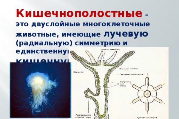 Блэк спрут в телеграм